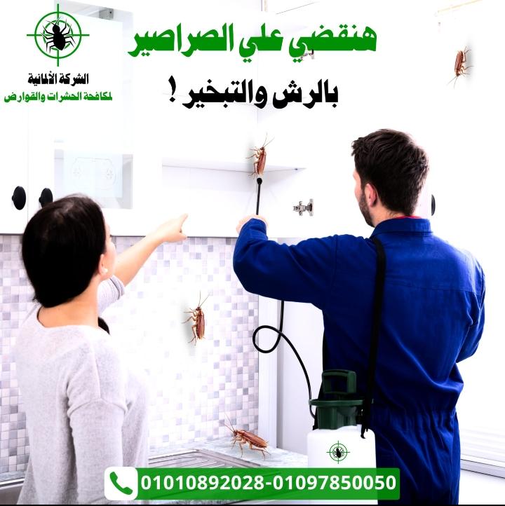 إبادة بق الفراش – الشركة الألمانية